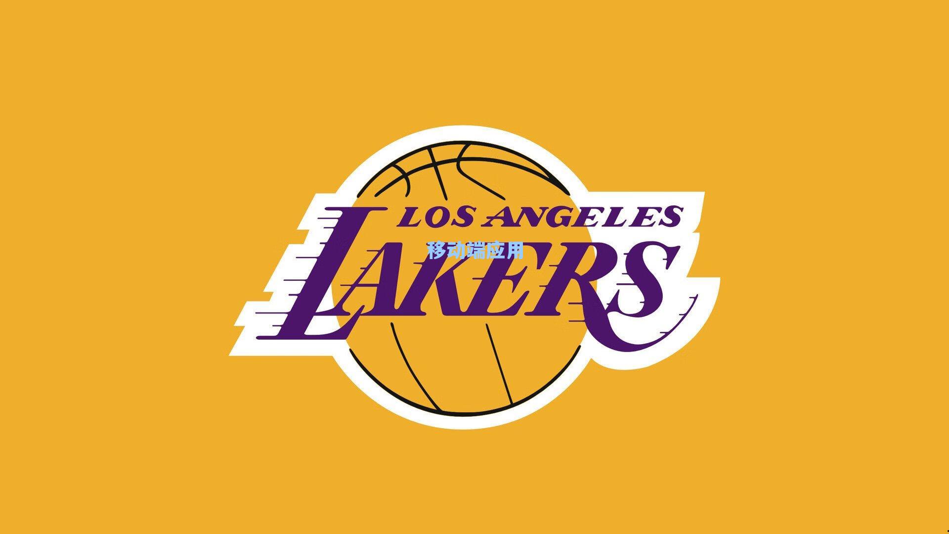 帕尔默腹股沟伤势检查结果乐观,周二复查显示恢复前景远超预期