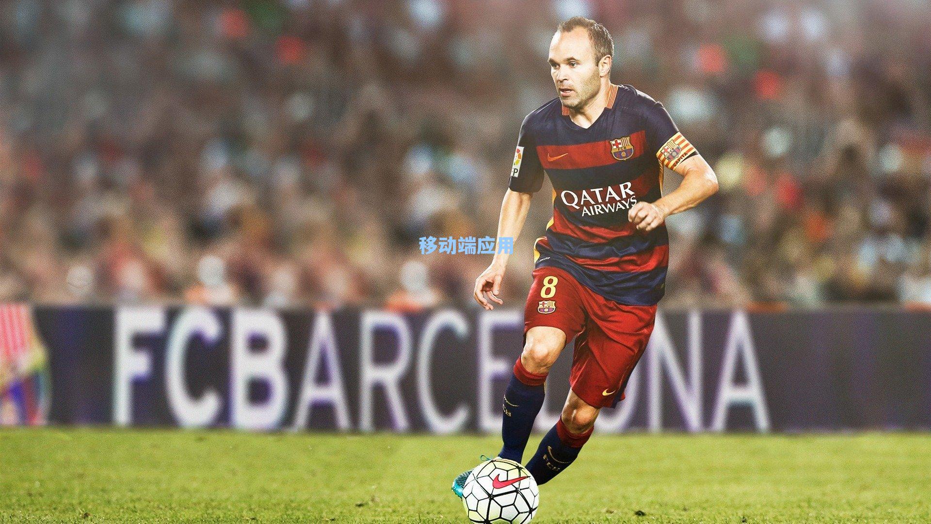 剑证2019—中国击剑扬帆远航