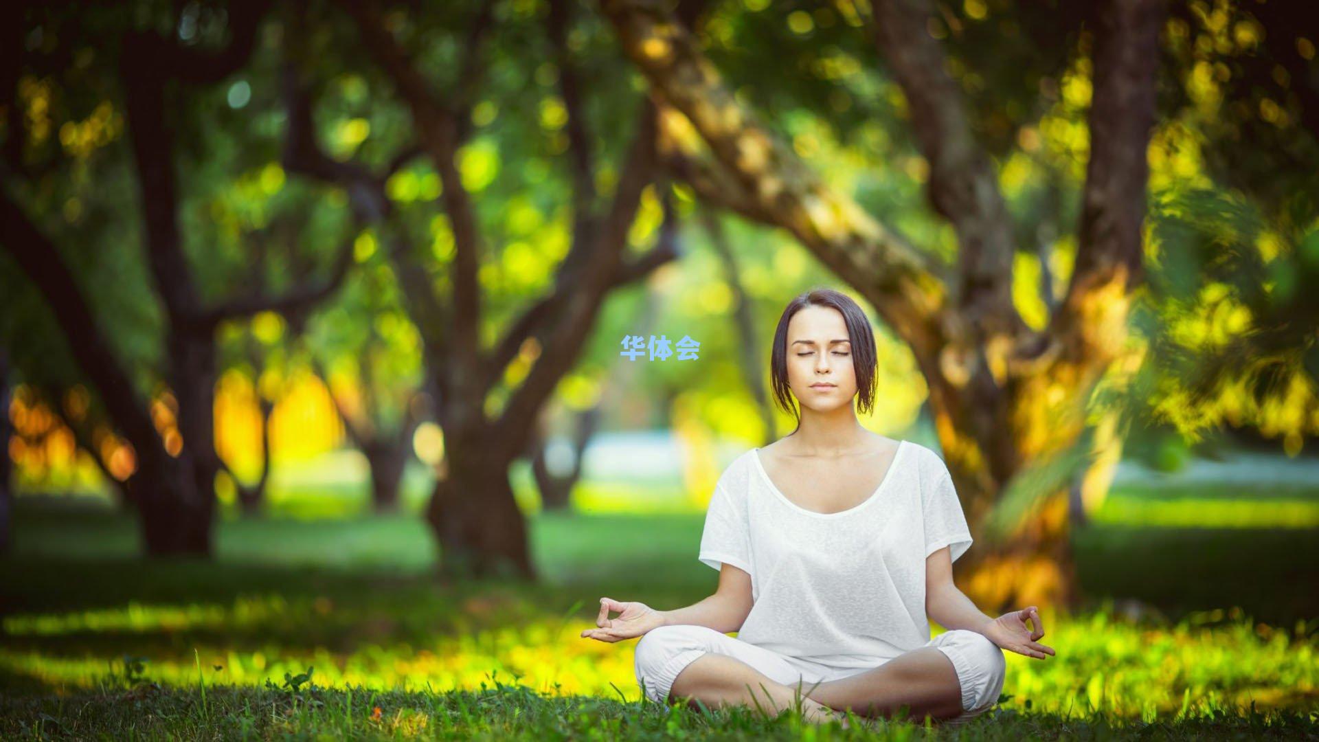 致命一枪绝杀鹈鹕!莫兰特完美首秀 灰熊开启北伐